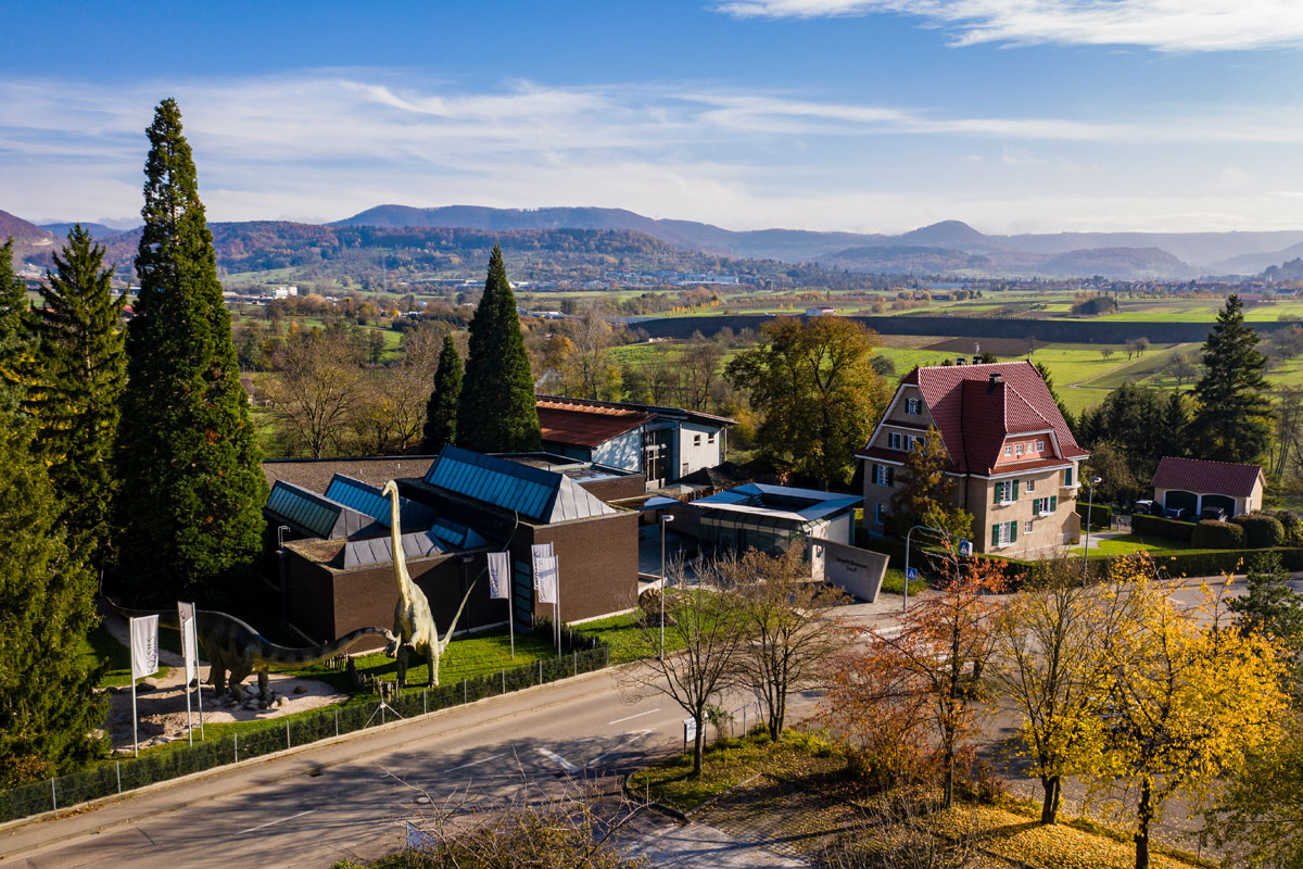 URWELT-MUSEUM HAUFF