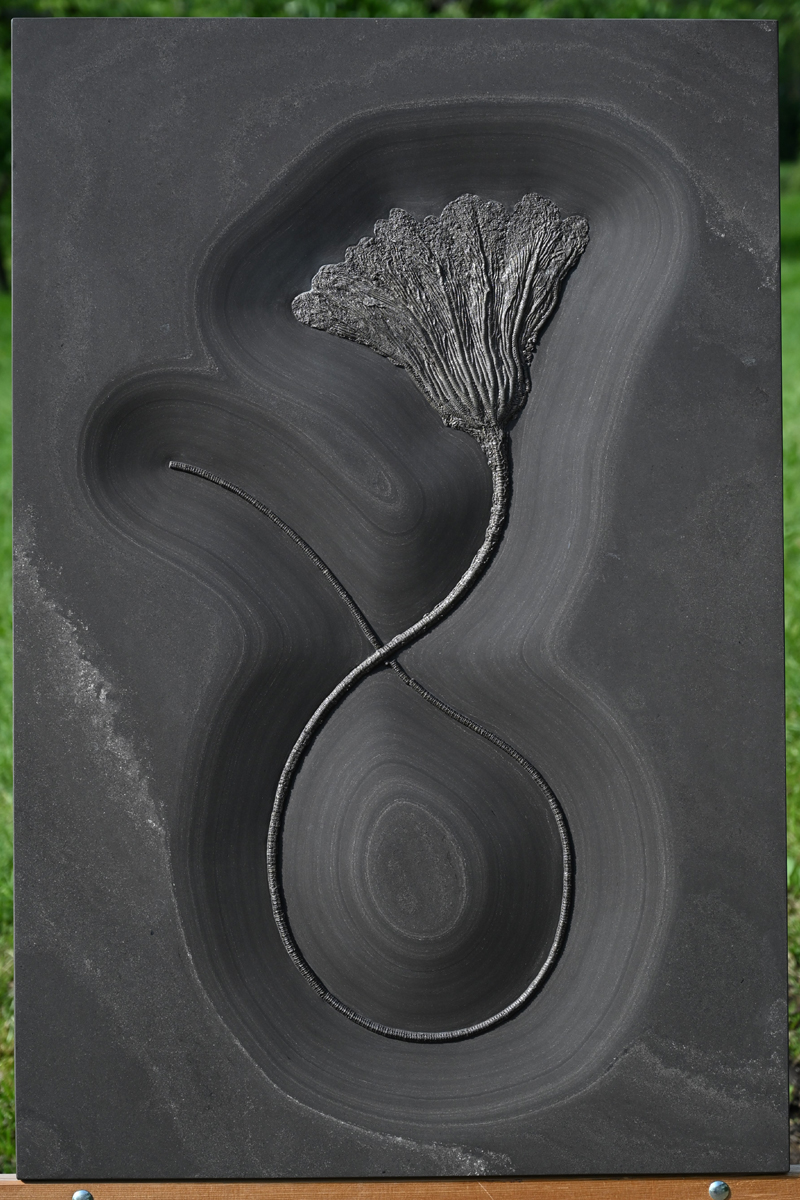 SEELILIE 60 x 90 cm
