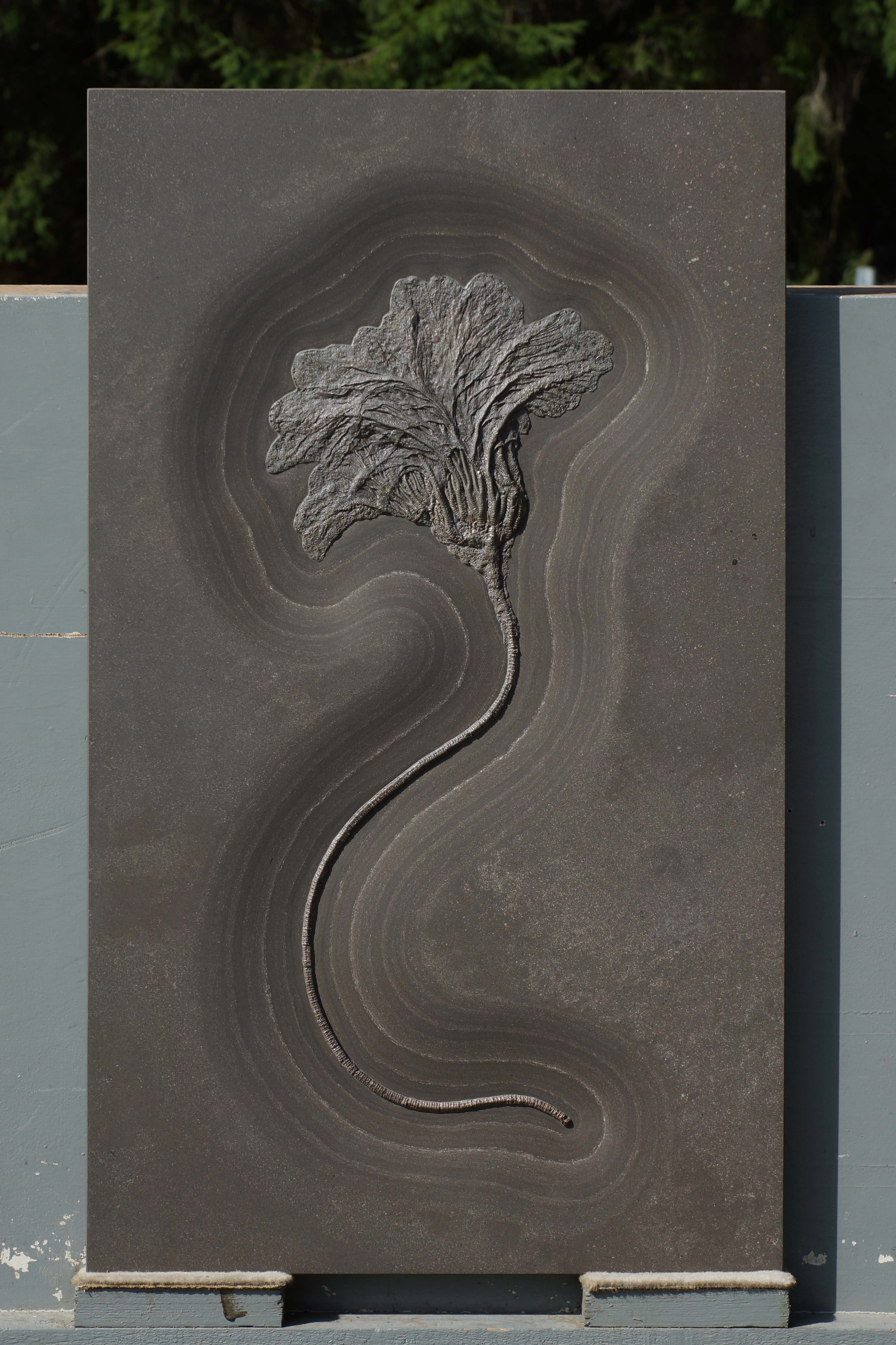 SEELILIE 50 x 85 cm