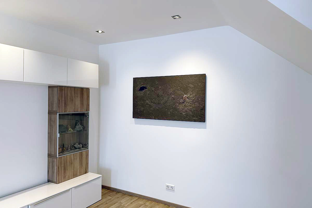 Außergewöhnliche Wandkunst für die Wohnung: ein echtes Fossil als Unikat